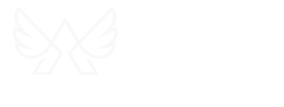 Professional Drone Service